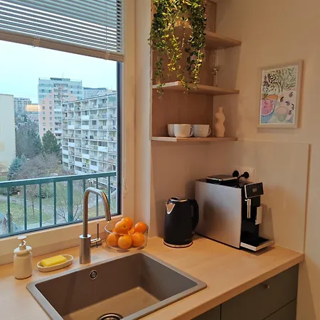 Vilma Old Town Appartamento *